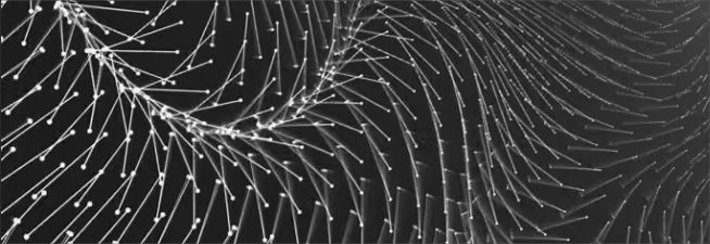 Composición generativa abstracta en blanco y negro formada por puntos y líneas